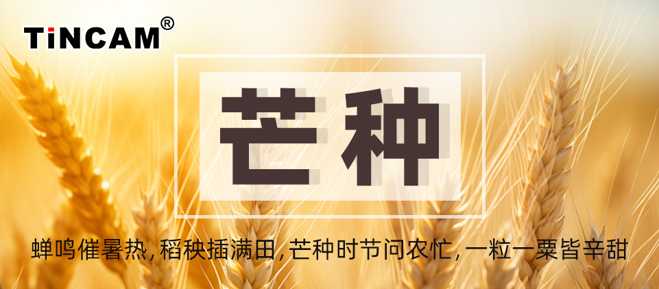 芒种.jpg